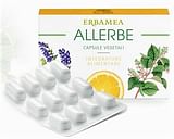 ALLERBE 24 CAPSULE VEGETALI BLISTER