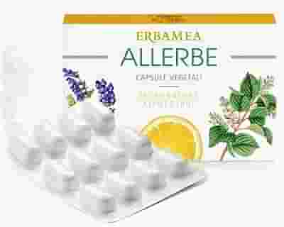 ALLERBE 24 CAPSULE VEGETALI BLISTER
