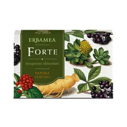 FORTE 24 CAPSULE FORTE 24 CAPSULE