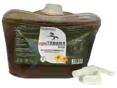 Gel Equitrauma Arnica per muscoli e tendini cavalli 4L