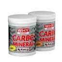WHYSPORT CARBO MINERAL 400 G