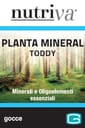 NUTRIVA PLANTA MINERAL TODDY 50 ML