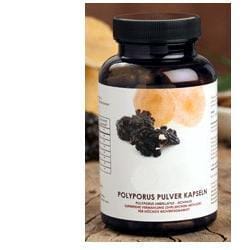 POLVERE DI POLYPORUS IN CAPSULE 120