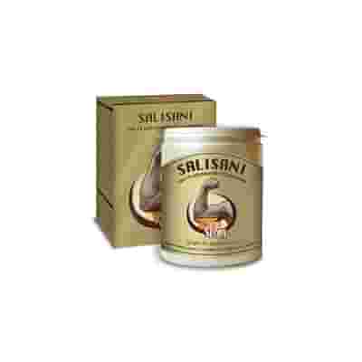 SALISANI VITAMINSPORT 360 G POLVERE