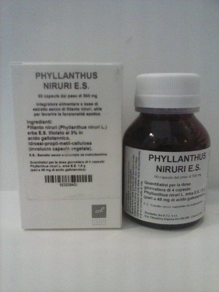 Phyllanthus Niruri Estratto Secco 60 Capsule