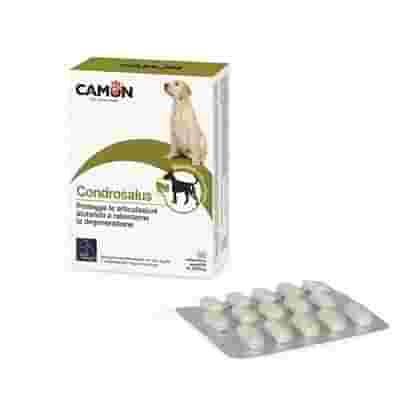 ORME NATURALI CONDROSALUS 60 COMPRESSE