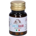 LACTOBAOB 42 CAPSULE