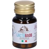 LACTOBAOB 42 CAPSULE