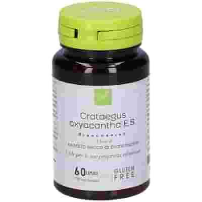 CRATAEGUS OXYACANTHA ESTRATTO SECCO 60 CAPSULE