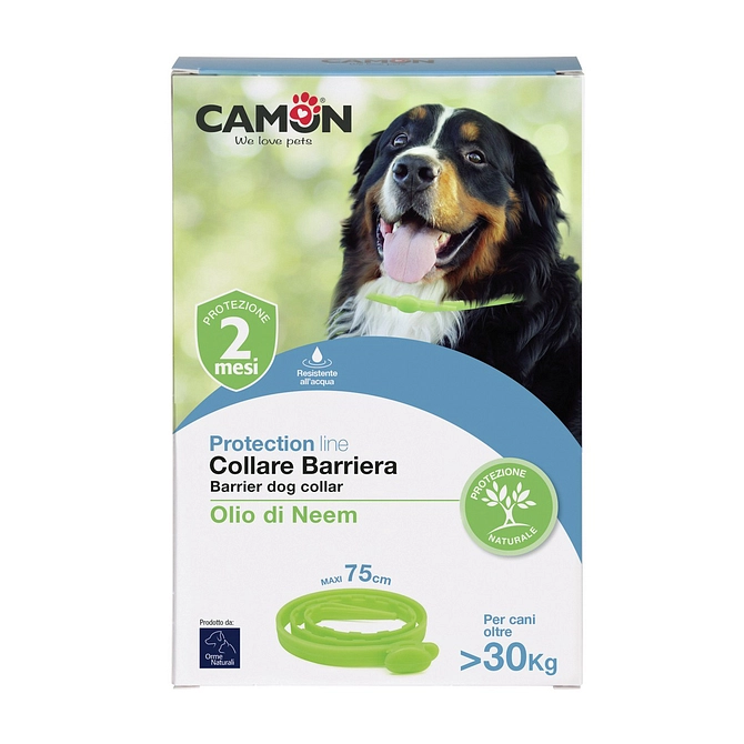 Protection Collare Barriera Cane 75 Cm