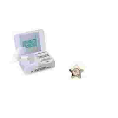 INVERNESS ORECCHINI STELLA CRYSTAL PLACCATI ORO R24C1