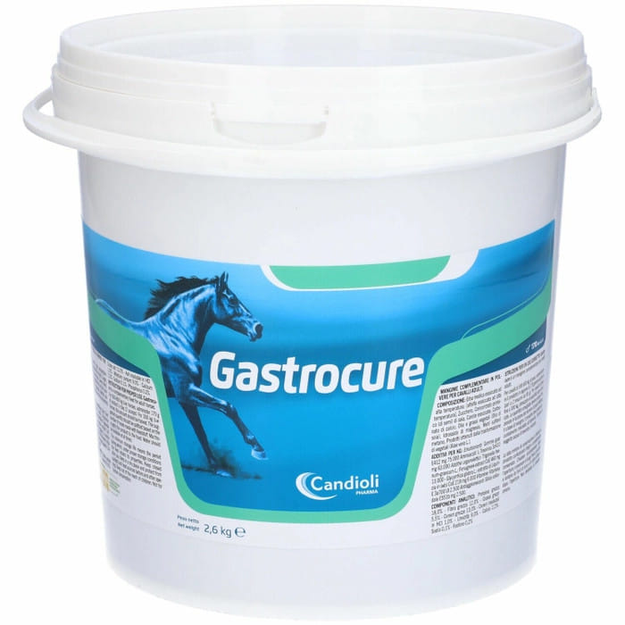 GASTROCURE SECCHIELLO 2,6 KG