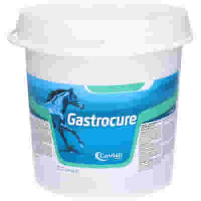 GASTROCURE SECCHIELLO 2,6 KG