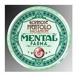 MENTAL FARMA FLAVORAL MENTOLO 35 G