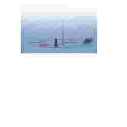 AGO IPODERMICO STERILE 21GX1-1/2 0,8X40