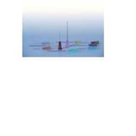 Ago Ipodermico Sterile 27G x 1/2, cannula siliconata 0,4x13mm