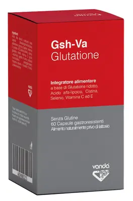 GSH-VA GLUTATIONE VANDA 60 CAPSULE GASTRORESISTENTI GSH-VA GLUTATIONE VANDA 60 CAPSULE GASTRORESISTENTI