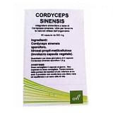CORDYCEPS SINENSIS 60 CAPSULE