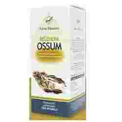REGENERA OSSUM 80 CAPSULE