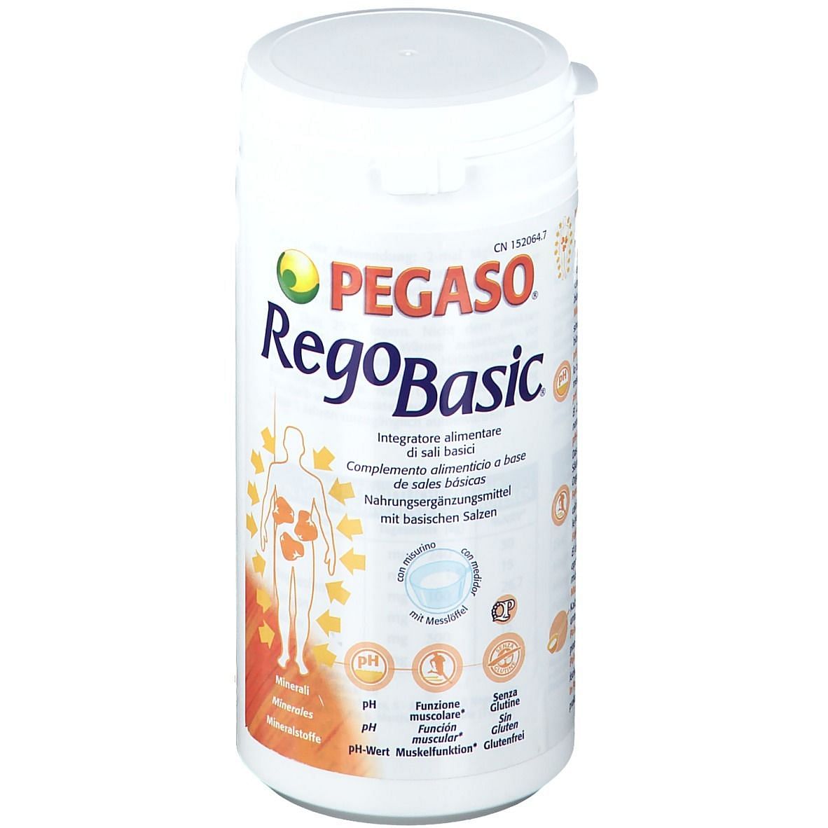 Regobasic Polvere 250 G