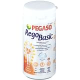 REGOBASIC POLVERE 250 G