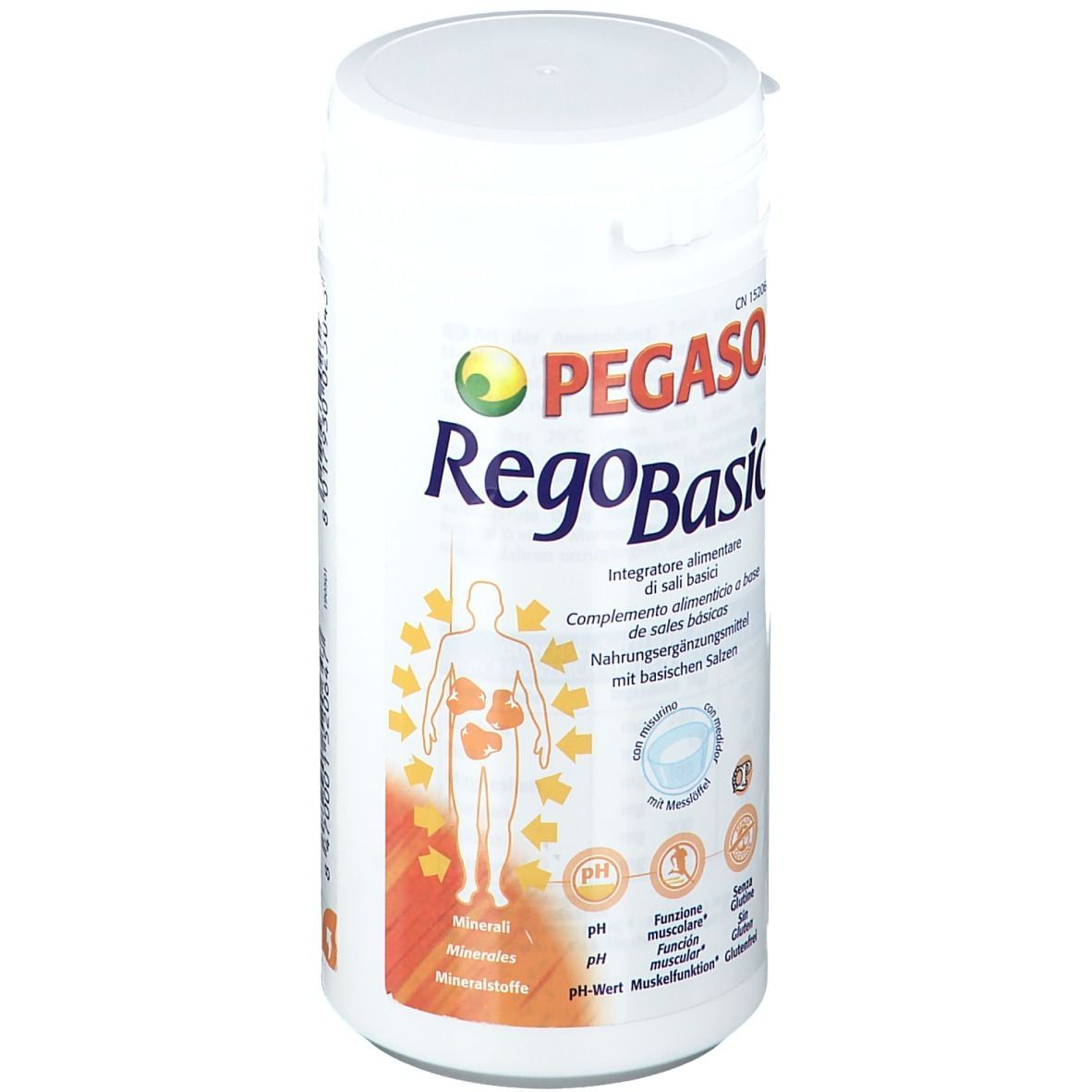 REGOBASIC POLVERE 250 G