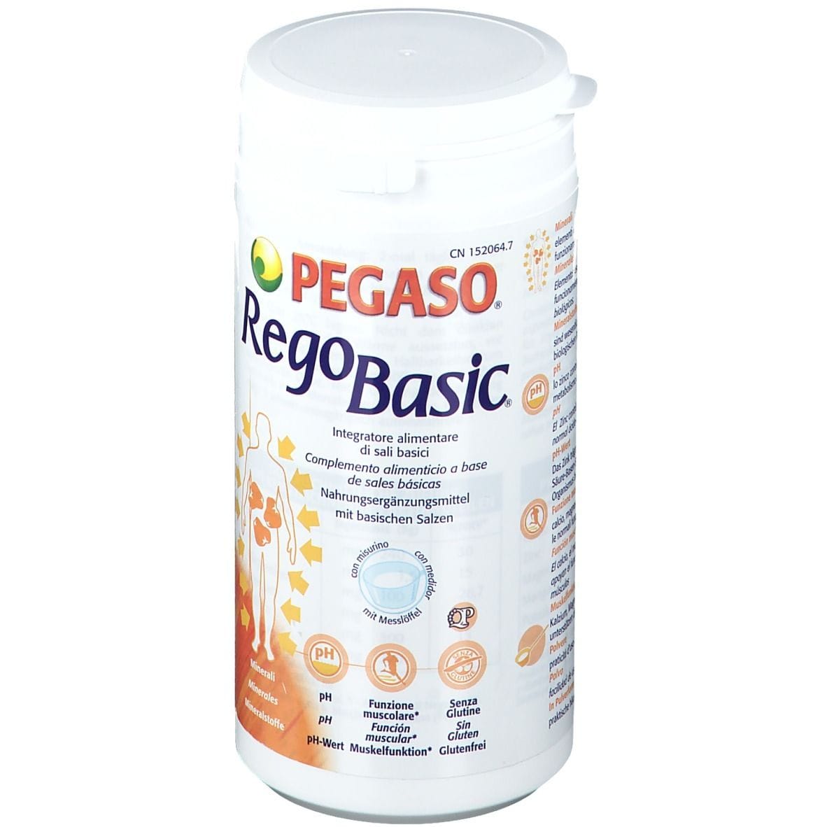 REGOBASIC POLVERE 250 G