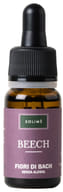 Soluzione Fiori di Bach Beech al faggio, 10ml senza alcool