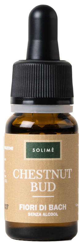 Chestnut Bud Fiori di Bach senza alcool, 10ml