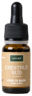 Chestnut Bud Fiori di Bach senza alcool, 10ml