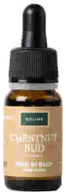 Chestnut Bud Fiori di Bach senza alcool, 10ml