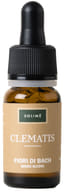 Clematis Fiori di Bach, soluzione senza alcool 10ml