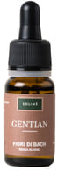 GENTIAN 10 ML