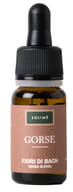 Gorse Fiori di Bach in gocce senza alcool, 10ml