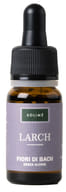 Larch Fiori di Bach in soluzione glicerica, 10ml