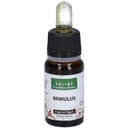 MIMULUS 10 ML