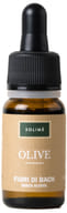 Soluzione Fiori di Bach Olive senza alcool, 10ml