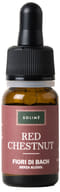 RED CHESTNUT 10 ML