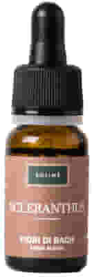SCLERANTHUS 10 ML