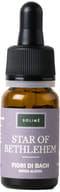 STAR OF BETHLEHEM 10 ML