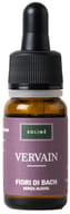 VERVAIN 10 ML