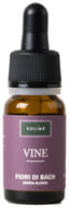 VINE 10 ML