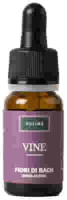 VINE 10 ML