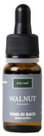 WALNUT 10 ML