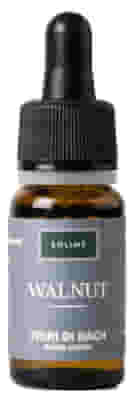 WALNUT 10 ML