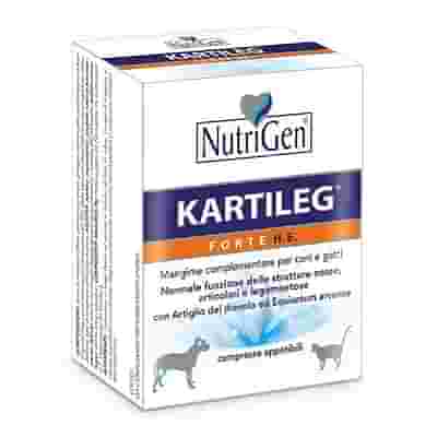 KARTILEG FORTE HE 120 COMPRESSE NUTRIGEN