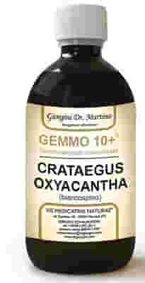 GEMMO 10+ BIANCOSPINO LIQUIDO ANALCOLICO 500 ML