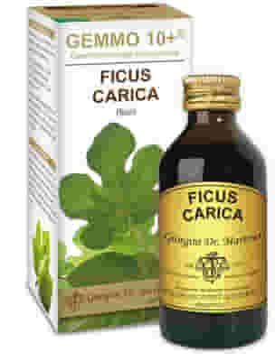 Integratore Gemmo 10+ Fico gemmoderivato concentrato 100ml