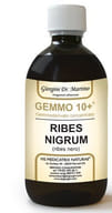 GEMMO 10+ RIBES NERO 500 ML LIQUIDO ANALCOLICO