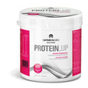 PROTEIN UP BARATTOLO 400 G